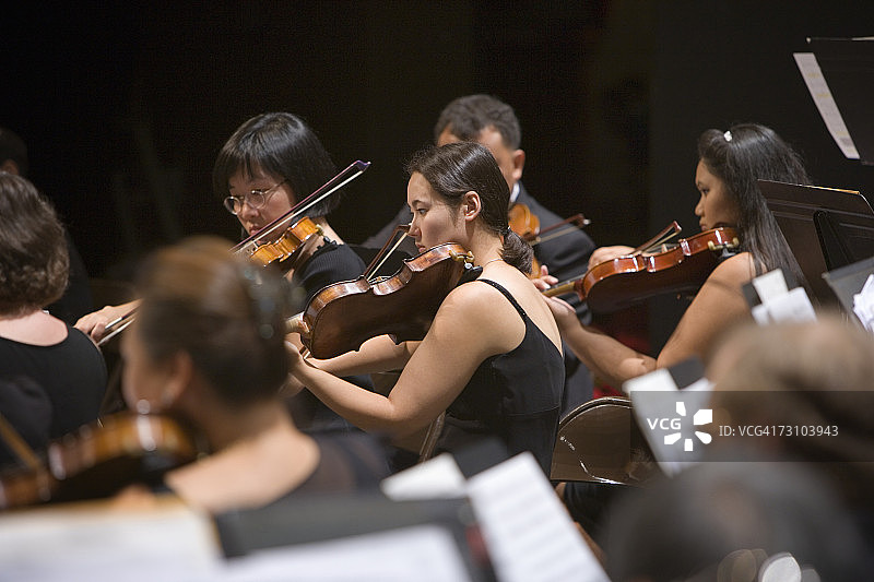 在交响乐团演奏的小提琴图片素材