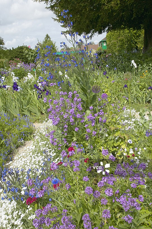 法国吉维尼的莫奈花园图片素材