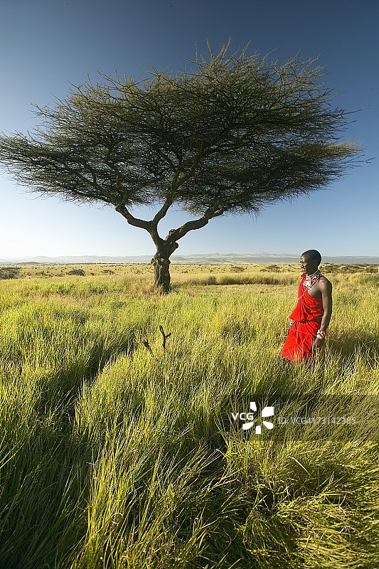 穿红衣的马赛战士在肯尼亚莱瓦保护区图片素材