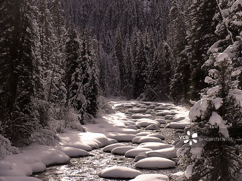 美国科罗拉多劳特县麋鹿河冬季图片素材