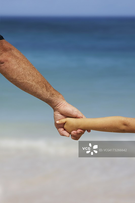 海滩上父子牵手的特写图片素材