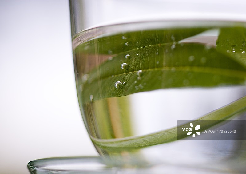 杯子里的马鞭草叶图片素材