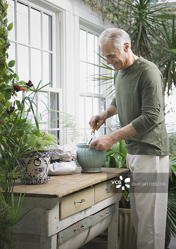 在温室里盆栽植物，面带笑容的老年男人图片素材