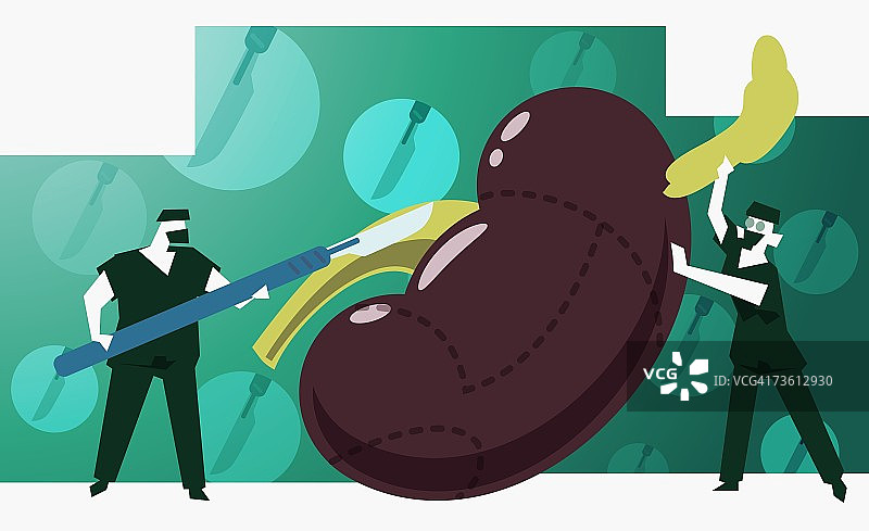 女外科医生手持人类肾脏，男外科医生正在进行手术图片素材