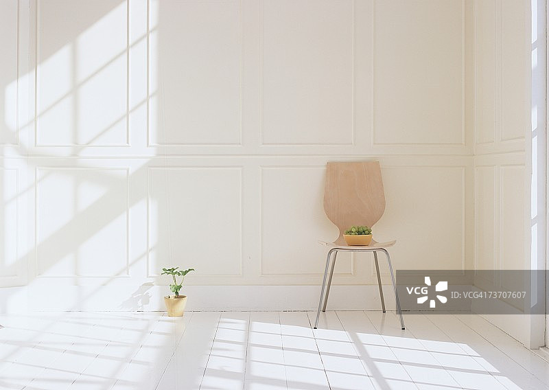 椅子和植物图片素材