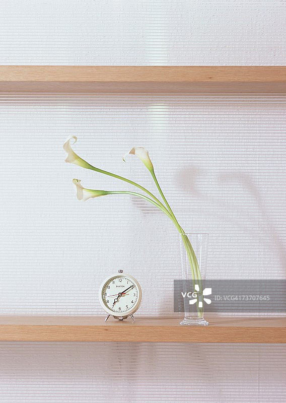 马蹄莲与闹钟图片素材