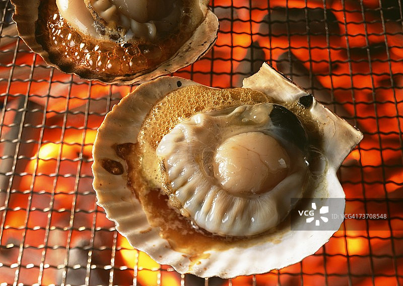 酱油烤扇贝图片素材