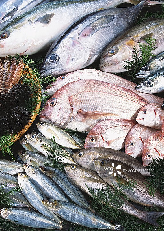 渔业产品图片素材