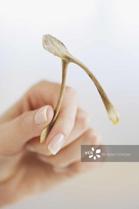 拿着叉骨的女人特写图片素材