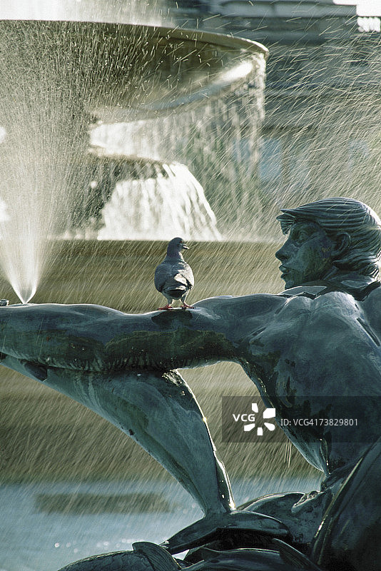 英国伦敦特拉法加广场图片素材