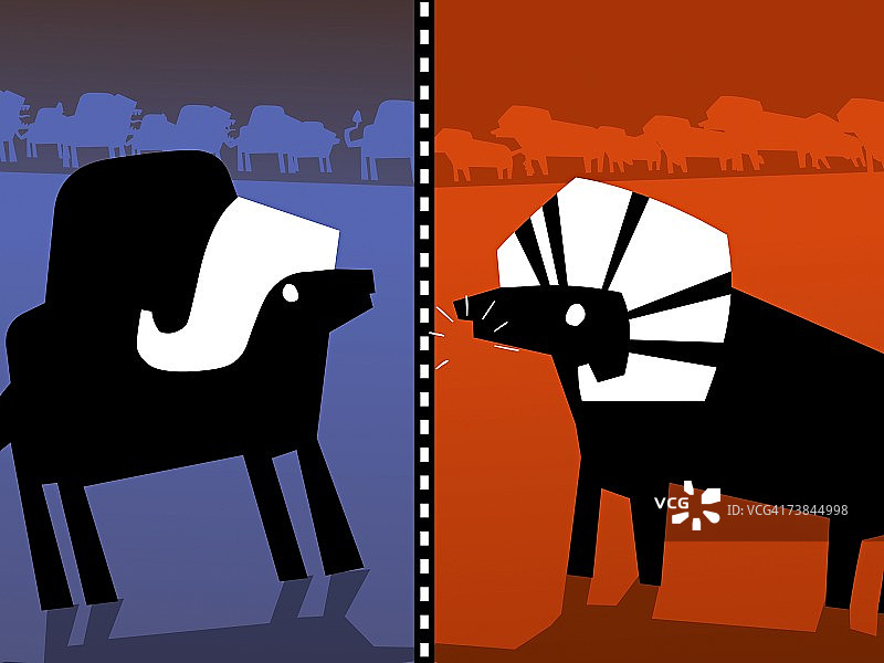 牛和山羊面对面站立的特写图片素材