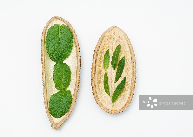 干燥外壳上的草药图片素材