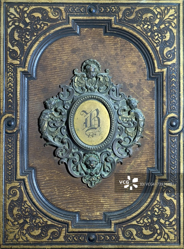 皮革上的华丽图案图片素材