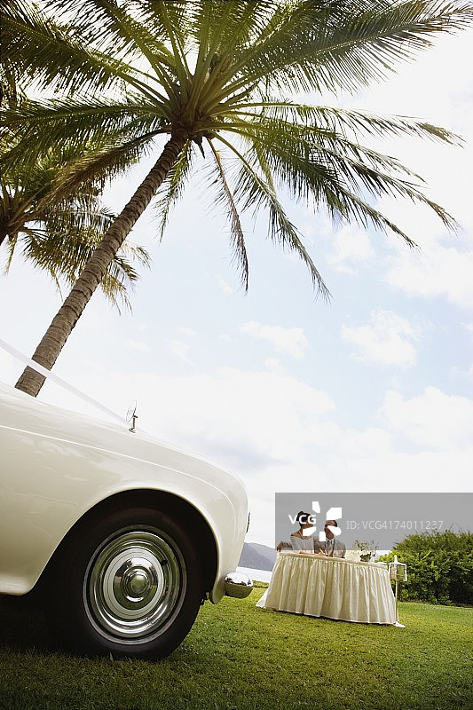 棕榈树下的桌子旁的新娘和新郎图片素材