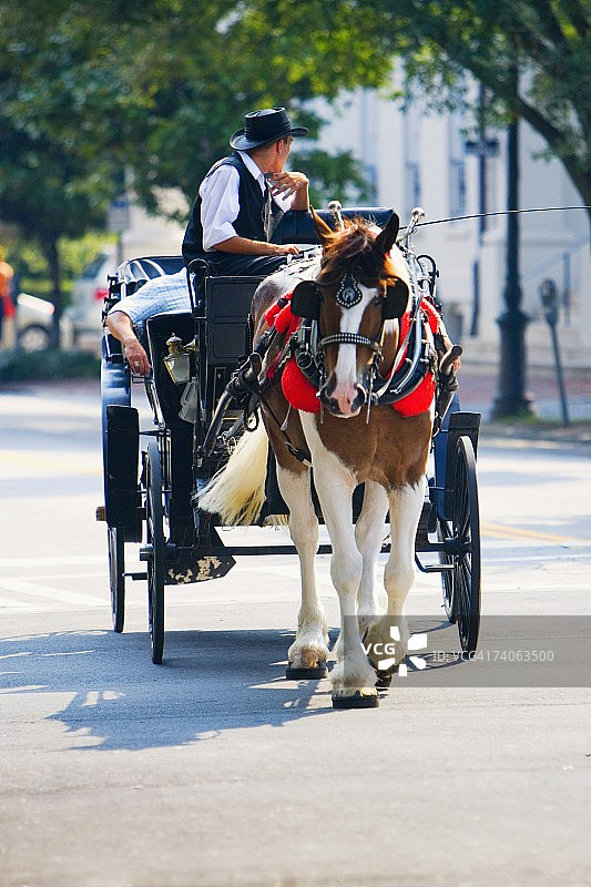 男子乘坐马车，美国佐治亚州萨凡纳图片素材