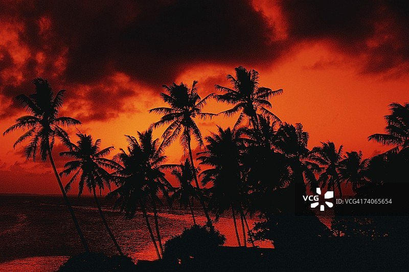 马绍尔群岛马朱罗的黄昏棕榈树轮廓图片素材
