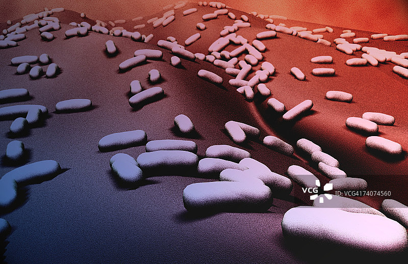 杆状细菌图片素材