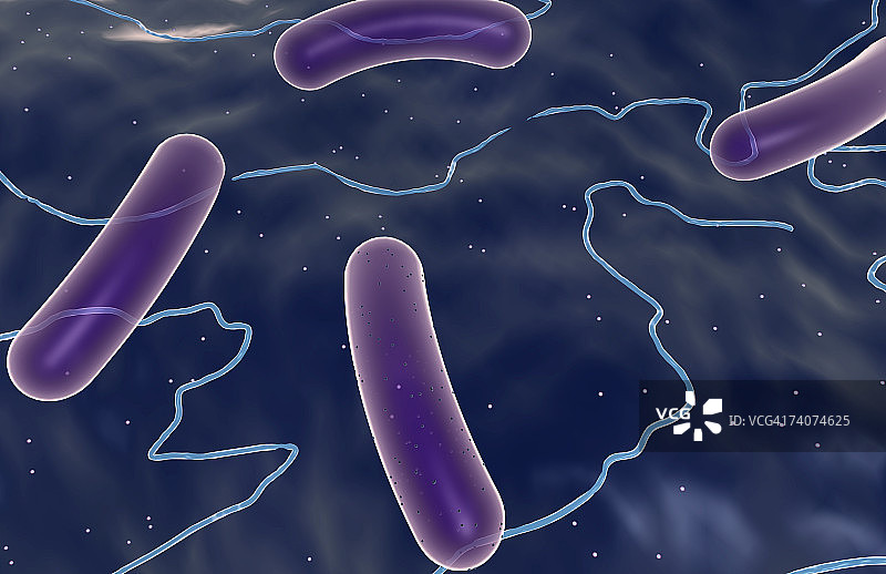 杆状细菌图片素材