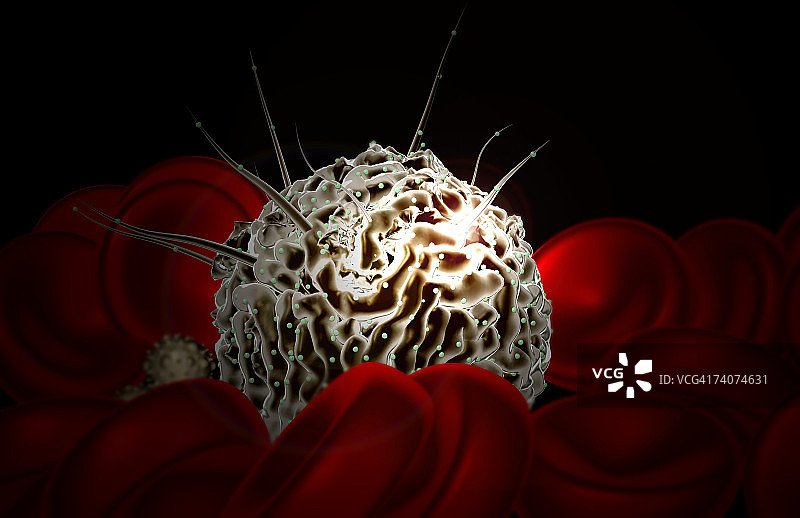 造血干细胞图片素材