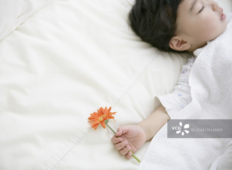 拿着花睡觉的日本男孩图片素材
