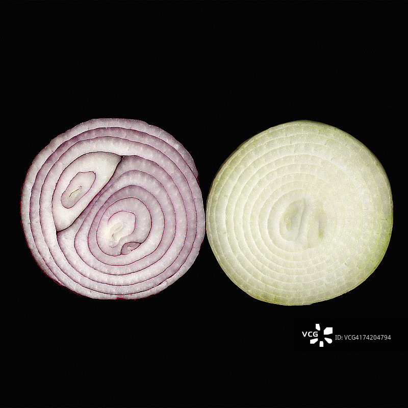 两片红色和黄色洋葱（葱属），工作室拍摄图片素材