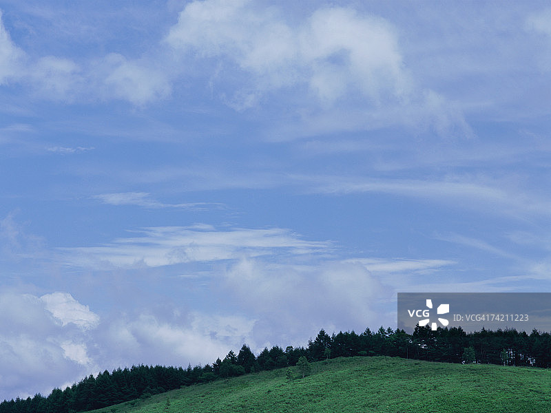 绿色田野和天空图片素材