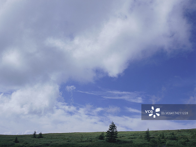 绿色田野和天空图片素材
