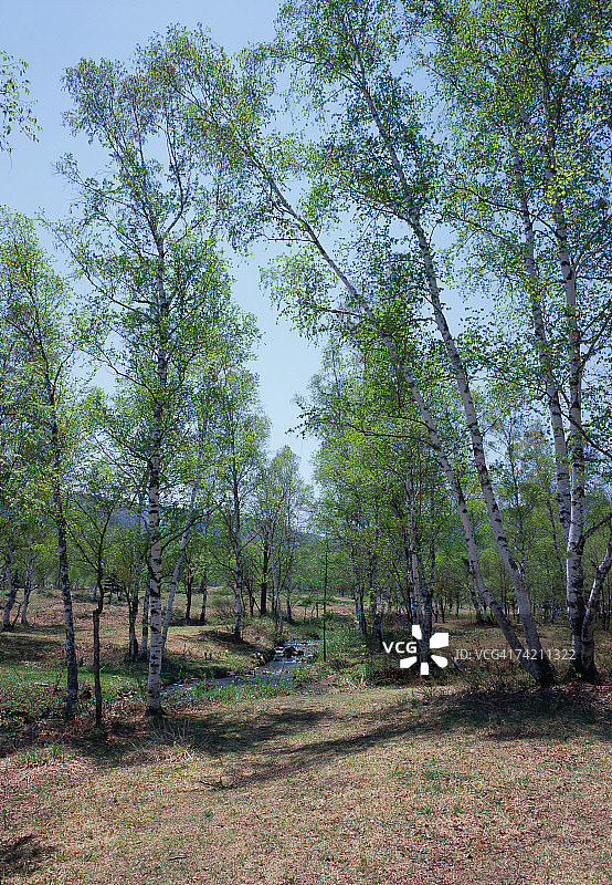 日本长野县的乘鞍高原图片素材