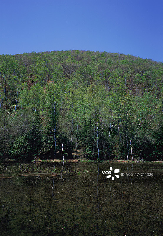 日本长野县乘鞍高原的浅间池图片素材