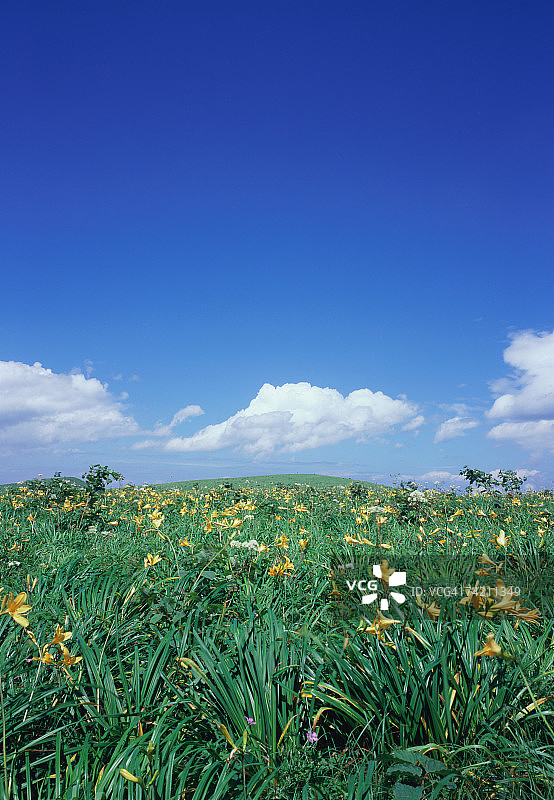 日本长野县车山高地图片素材