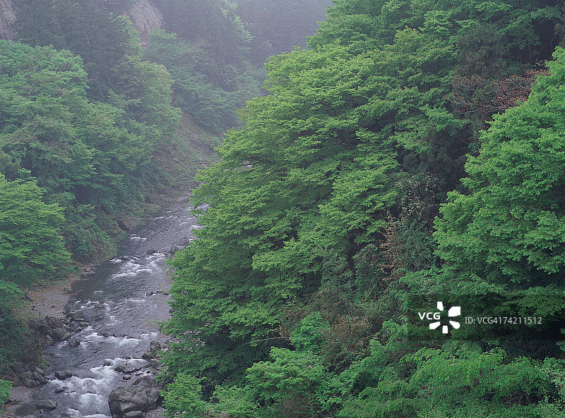 群山之间的河流图片素材