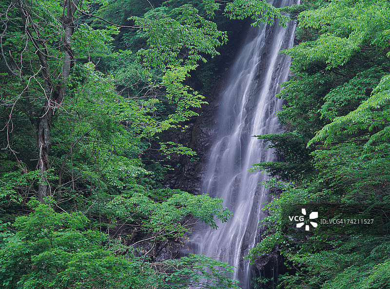 日本山梨县的瀑布图片素材