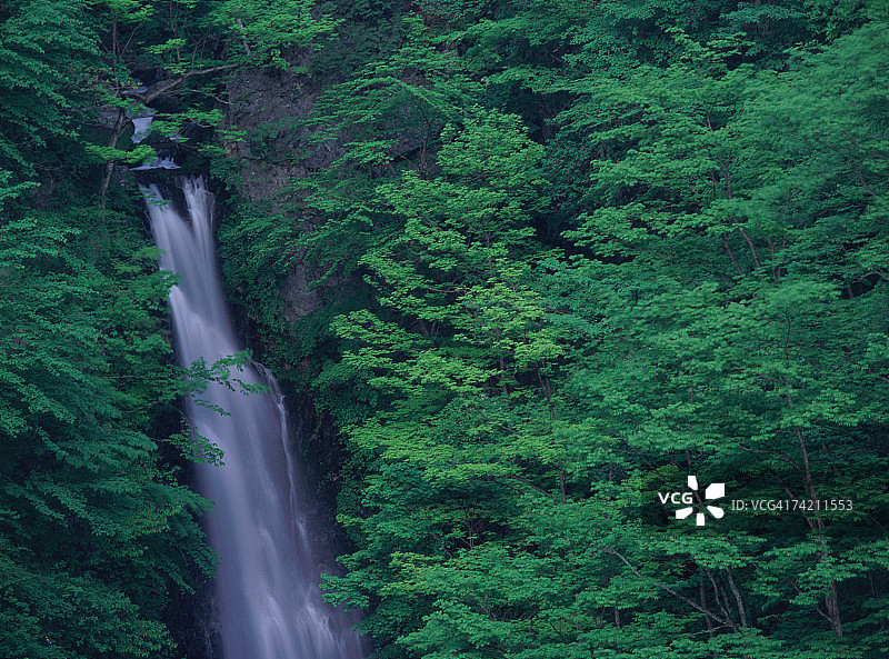 山中瀑布图片素材