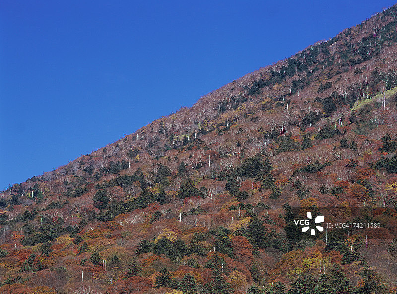 日本栃木县男体山图片素材