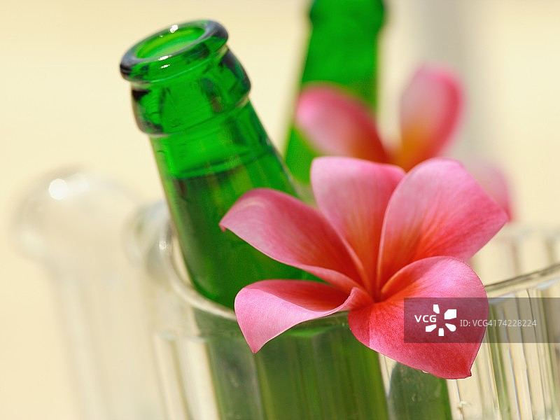 啤酒瓶和水壶里的花图片素材