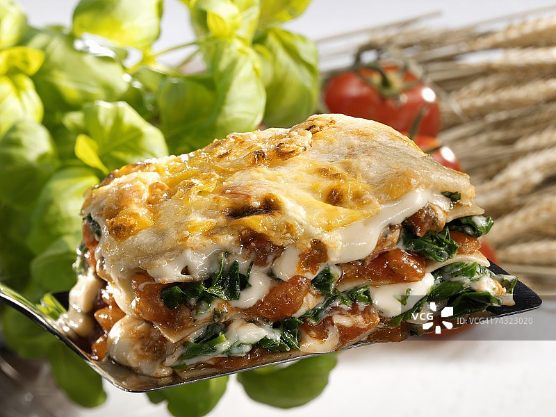 一份菠菜番茄千层面图片素材