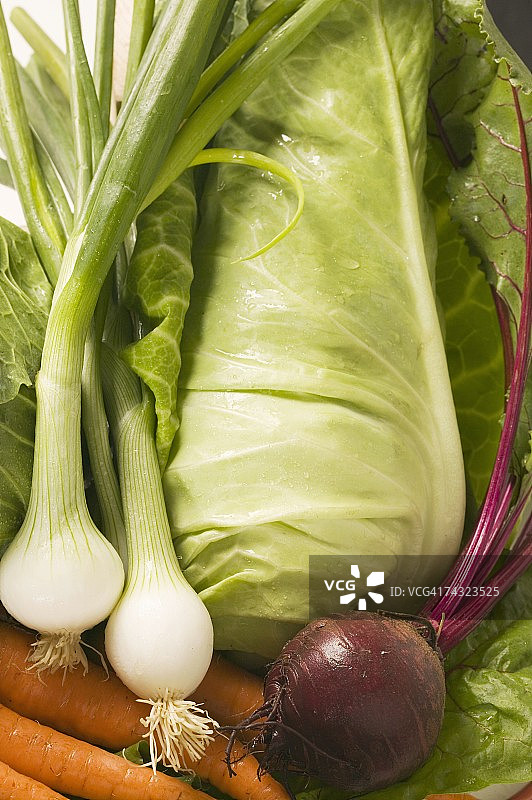 胡萝卜、葱、甜菜和卷心菜（细节）图片素材
