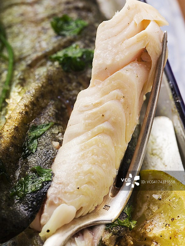 烤鳟鱼肉叉细节图片素材