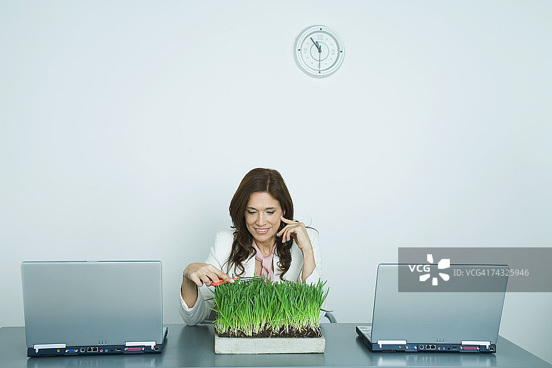 修剪小麦草的女人图片素材