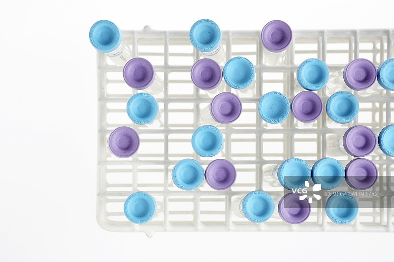 试管架（正上方视角）图片素材