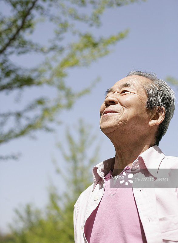 仰望树下天空的日本成年男子图片素材