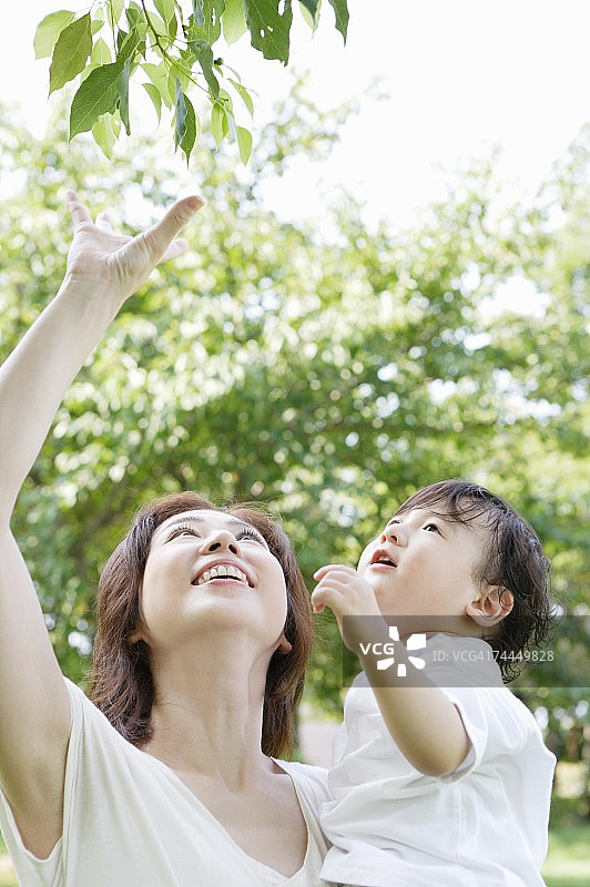 抱着儿子抬头看树的日本女人图片素材