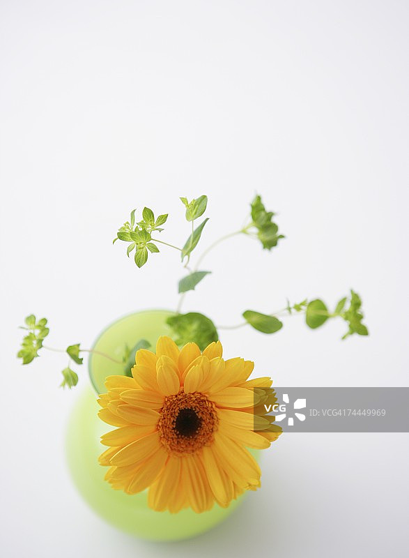 花瓶中的黄花图片素材