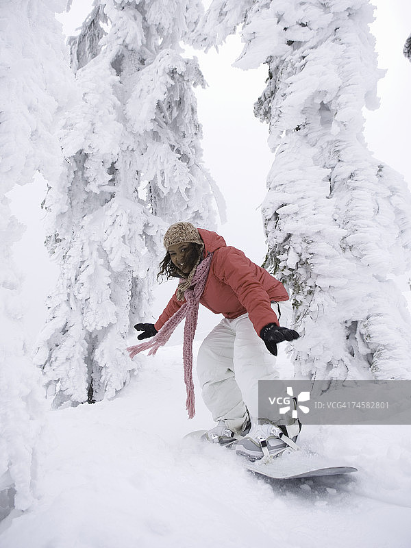 在雪树间滑雪的年轻女人图片素材