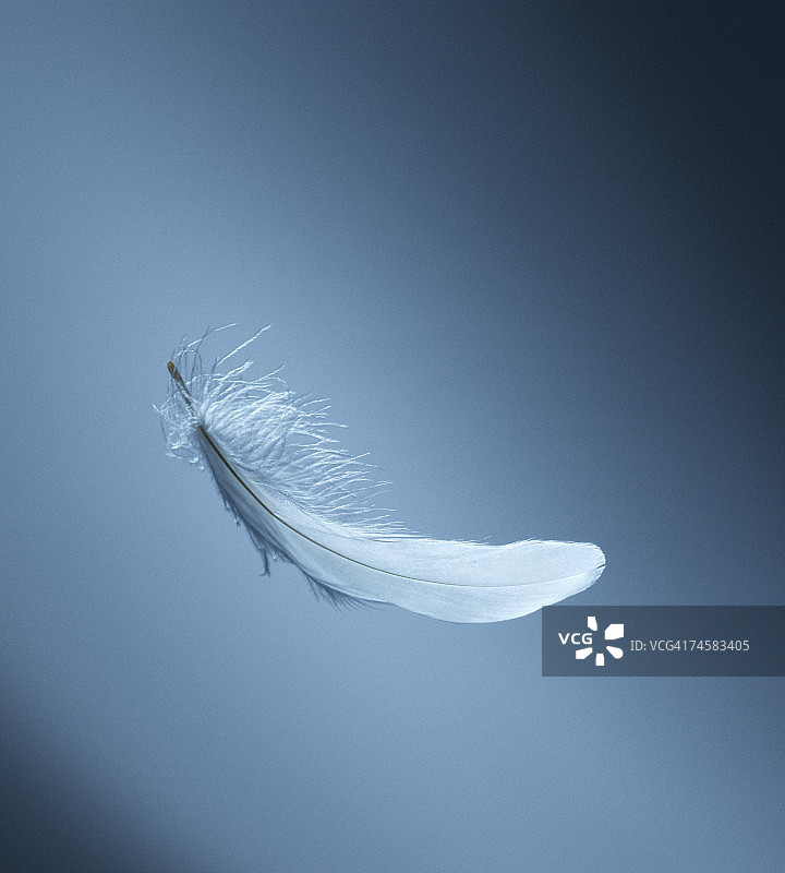 漂浮的羽毛图片素材