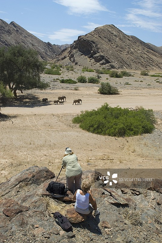 在Safari拍摄非洲象群的游客图片素材