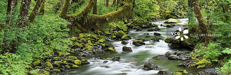 美国华盛顿州奥林匹克国家公园图片素材