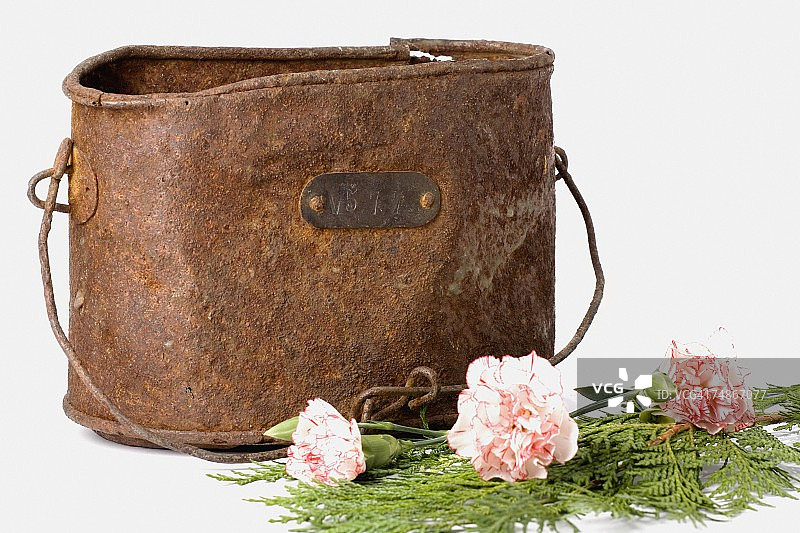 鲜花桶特写图片素材
