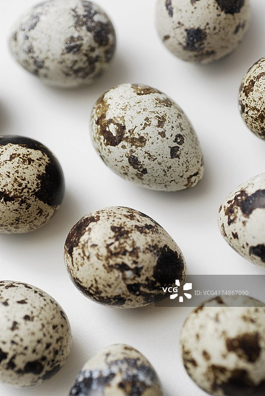 鹌鹑蛋特写图片素材