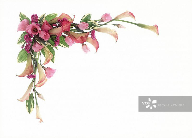 精美摆放的一束鲜花图片素材